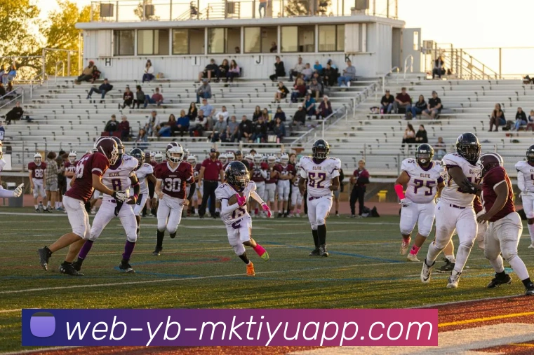 MK体育APP 封面图